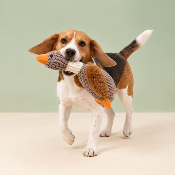 Hounddale Calming Chew Toy