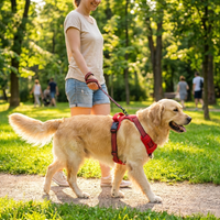 Hounddale No-Pull Harness Vest - lifestyle photo