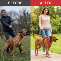 Hounddale No-Pull Harness Vest - problem solved