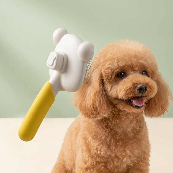 Poodle with Hounddale Floating Grooming Comb, cream to sage gradient