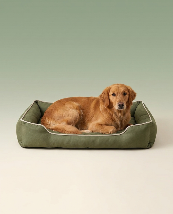 Hounddale Waterproof Sofa Bed - dog resting in green bolster bed